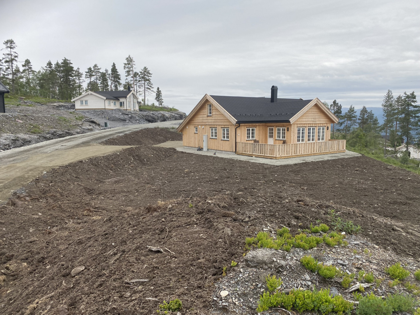 Vikeshagen 2019 IMG 2250