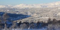 Alltid-sol-i-Voss-Hyttegrend