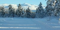 Herresaasen-mot-Horndalsnuten