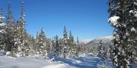 Voss-Hyttegrend-AS-012
