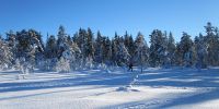 Voss-Hyttegrend-AS-033